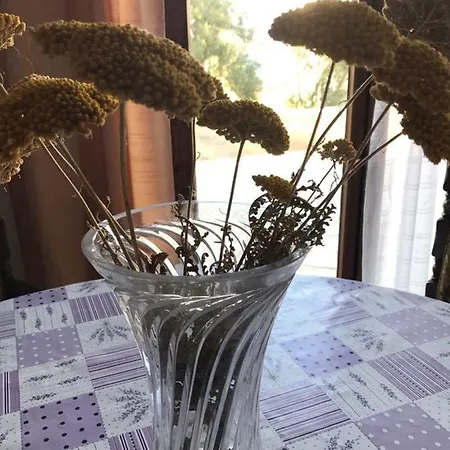 Apartmán Adria Tkon
